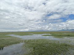 -花湖生态旅游区