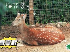 -昆明动物园