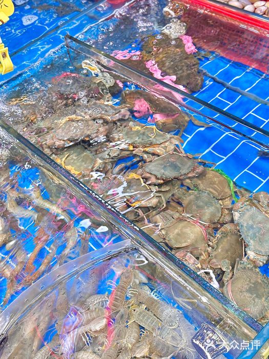 船奇蒸汽海鲜·闽菜(八市海鲜总店)图片