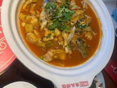 -魏铭鱼头捞饭(晋阳路店)