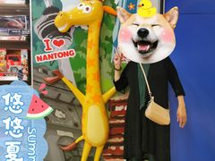 -TOYSRUS玩具反斗城(南通大有镜店)