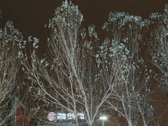 -哈尔滨热雪奇迹