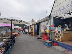 -龙坞茶村