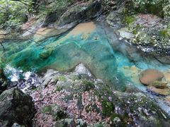 -祁门牯牛降观音堂风景区