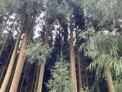 -九峰山