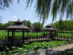 -尚庄度假村·庭台树下·户外烧烤·团建CS·轰趴营地(上庄水库店)