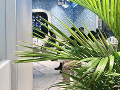 -吴山山·椰子酸奶(天河南店)