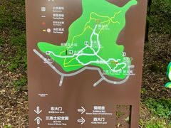 -上海佘山国家森林公园天马山园