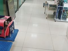 -利又安动物医院··老年病·猫科犬科·中兽医