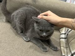 -瑞派康怡24h宠物医院·犬猫医疗中心·微创绝育(瑞景分院)