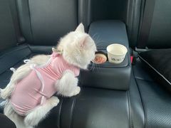 -康旭宠物医院(郑州总院)