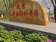 -太阳宫公园