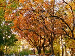 -斯多格书乡(北京大学畅春园店)