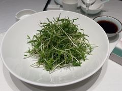 -绿杨春·淮扬宴(庐山路店)