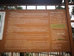 -北京鹫峰国家森林公园