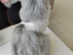 -怪兽屋·羊驼·猫咖·狗咖(俊华广场店)