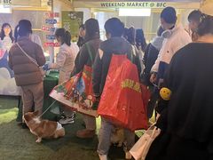 -瑞派申生动物医院·24H夜诊·国际动物医疗中心·骨外科(吴中路店)