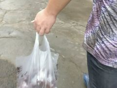-王阿姨文昌油赞子(府桥街店)