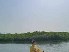 -丁香湖公园