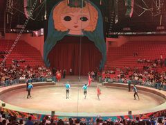 -俄罗斯国家大马戏团