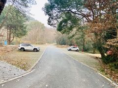 -青龙山国家森林公园