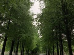 -石湖景区