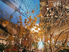 -桂满陇·海市蜃楼·黑金(国金店)