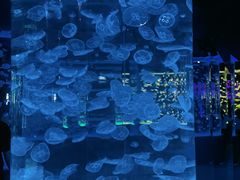 -石家庄极地海洋世界