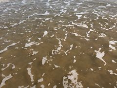 -日照海滨国家森林公园