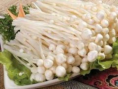 金针菇-华威约饭街