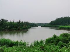 -塘沽森林公园