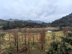 -新安江山水画廊风景区