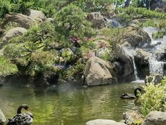 -罗红摄影艺术馆