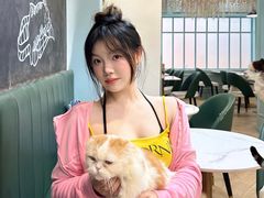 -安格丽娜·狗咖·猫咖羊驼咖(春熙路百盛商场店)