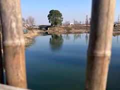 -田园东方蜜桃村的田野营地