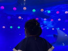 -烟台海昌鲸鲨海洋公园