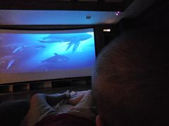 -青水瓦台汤泉(未央店)