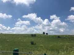 -塞罕坝国家级自然保护区