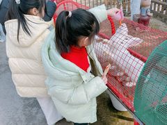 -成都欢乐谷