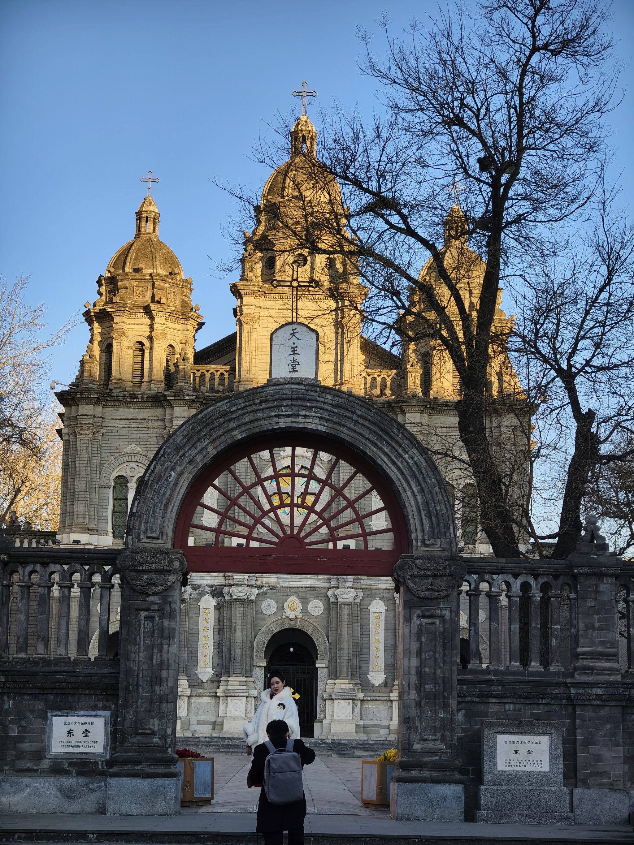 下午的侧光不错哟