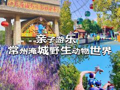 -常州淹城野生动物世界