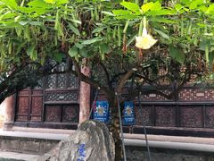 -古大圣慈寺