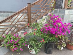 -钰田大院·碳烤虹鳟鱼·怀柔地道农家菜(雁栖湖店)