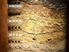 -临沂市博物馆