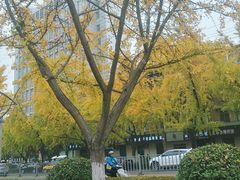 -赭山公园