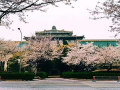 -武汉大学-樱园