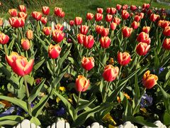 -无锡市市民中心