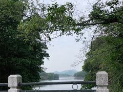 -红花湖景区