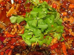 -华豫川酒家(双子塔店)