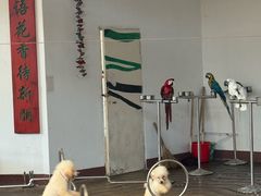 -南戴河国际娱乐中心